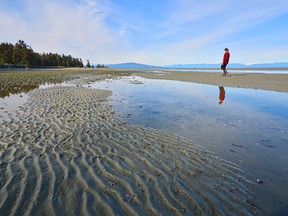 If Rathtrevor Beach had an online dating profile, it would mention building sandcastles with the kids by day and long sunset walks at night.