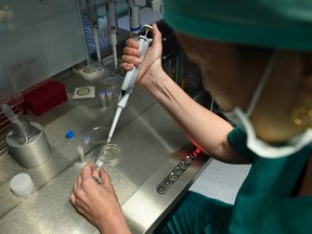 An employee at a clinic prepares a sample of sperm and an egg for the process of fertilization under the microscope on May 25, 2016 in Barcelona.