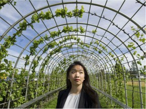 Amy Chang at Lulu Island Winery in Richmond, B.C.