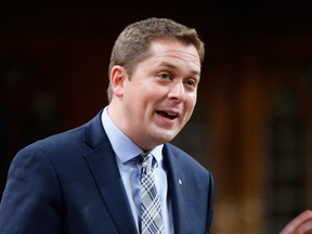 Conservative Leader Andrew Scheer in the House of Commons on Wednesday, May 31, 2017.