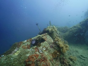 A newly documented bomber from the Second World War, submerged underwater near Papua New Guinea