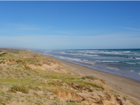 An image of the Coorong National Park where Roman Heinze, 61, attacked two tourist women whom he had offered a ride.