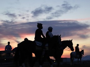 Exercise rider Nick Bush, left, rides Kentucky Derby winner Always Dreaming onto the track at Pimlico Race Course in Baltimore, Thursday, May 18, 2017. As Saturday's Preakness Stakes brings championship thoroughbred racing back to a region transfixed by the Trump Administration, it's worth revisiting the disputed tale of Trump's only documented foray into the sport of kings.