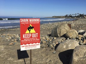 San Onofre State Beach in Southern California remains closed after a woman was attacked by a shark in the area Saturday afternoon.