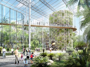 The hydroponic vertical farm will be dedicated to growing Shanghai staple greens such as kale, lettuce and spinach.