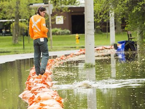 Arborist Claire Bohdan walks the street line row of sand bags as a spawning carp slashes near her as the sand bags hold water from flooding the land more as the Toronto Islands are threatened by rising water levels in Toronto on Friday, May 19, 2017.