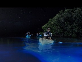 A night tour of Puerto Rico's Laguna Grande is the best way to experience the glow of the bioluminescent bay.