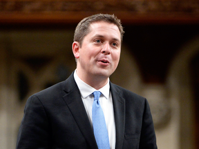 Andrew Scheer voted against same-sex marriage a decade ago. Liberals Paul Martin, Jean Chrétien, Ralph Goodale and Stéphane Dion have voted against it as well.