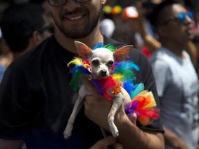 A reveler holds his dog as he takes part in Mexico City's gay pride parade, Saturday, June 24, 2017. Thousands marched down Paseo de la Reforma for one of the largest gay pride events in Latin America. (AP Photo/Eduardo Verdugo)