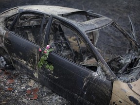 Roses were placed on the remains of a car in which a woman was killed after going off the road in the village of Nodeirinho, near Pedrogao Grande, central Portugal, Monday, June 19 2017. Raging forest fires in central Portugal killed tens of people, many of them trapped in their cars as flames swept over roads Saturday evening. (AP Photo/Armando Franca),