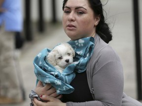 A woman holding a dog leaves Dorney Tower, part of the Chalcots Estate in the borough of Camden, north London, Sunday June 25, 2017. The apartments were evacuated after fire inspectors concluded that the buildings were unsafe because of problematic fire doors, gas pipe insulation, and external cladding similar to that blamed for the rapid spread of a fire that engulfed Grenfell Tower on June 14. (AP Photo/Tim Ireland)