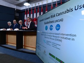 Dr Benedikt Fischer, right, speaks in Ottawa on Friday, June 23, 2017. He is joined by an international team of experts as they release guidelines aimed at lowering the health risks of cannabis use. THE CANADIAN PRESS/Sean Kilpatrick