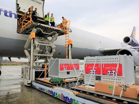 In this photo released by China's Xinhua News Agency, containers carrying the giant pandas Meng Meng and Jiao Qing are loaded onto a Lufthansa cargo plane for a flight to Germany at an airport in Chengdu in southwestern China's Sichuan province, Saturday, June 24, 2017. The pair of pandas will be housed at the Berlin Zoo after their arrival in Europe. (Xinhua via AP)