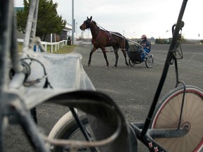 Standardbreds train at Mohawk Racetrack in Milton, Ont. on April 13.