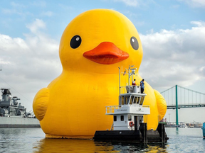 Coming soon: this giant yellow duck.