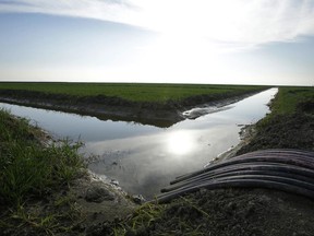 FILE - In this Feb. 25, 2016, file photo, water flows through an irrigation canal to crops near Lemoore, Calif. The federal regulators evaluating Gov. Jerry Brown's decades-old ambitions to re-engineer the water supplies from California's largest river are promising a status update Monday, June 26, 2017, as Brown's $16 billion proposal to shunt part of the Sacramento through two mammoth tunnels awaits a crucial yes or no from national agencies. (AP Photo/Rich Pedroncelli, File)