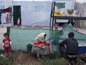 In this Friday, May 26, 2017 photo a Syrian family tend their garden at the refugee camp of Ritsona about 86 kilometers (53 miles) north of Athens. The camp hosts around 600 people most of them families from Syria. On World Refugee Day, more than 60,000 refugees and migrants are still stranded in Greece in a process barely moving: Forward to other countries of the European Union, or back to Turkey under a deportation deal launched 15 months ago. (AP Photo/Petros Giannakouris)