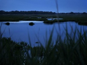 In this May 25, 2017 photo, moonlight reflects off of wetlands along the Choptank River in Caroline County, Md. The Choptank and other waterways on Maryland's Eastern Shore played crucial roles in Harriet Tubman's life and the Underground Railroad, both for transportation and as conduits of information. (AP Photo/Patrick Semansky)