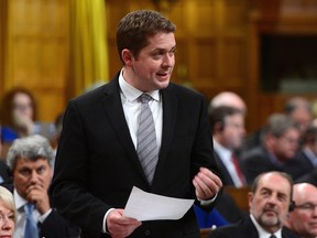 Conervative Party Leader Andrew Scheer stands during question period in the House of Commons