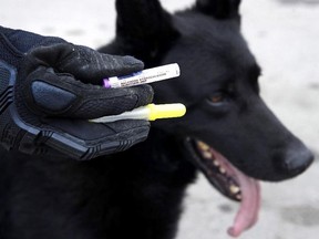 In this May 30, 2017, photo, Massachusetts State Police Trooper Brian Cooper displays a dosage of Naloxone during a training session with his K-9 Drako in Revere, Mass.