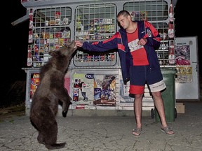 In this September 2002 file photo, a bear receives sweets from a shop owner on the outskirts of Brasov, Romania.
