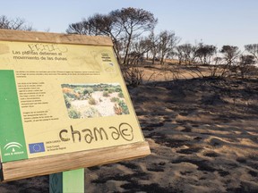 Charred trees and plants are seen on the dunes near the access to the Cuesta Maneli beach after a forest fire near Mazagon in southern Spain, Monday June 26, 2017. A forest fire in southern Spain has forced the evacuation of 1,000 people and is threatening Donana National Park, one of Spain's most important nature reserves and a UNESCO World Heritage site since 1994, and famous for its biodiversity, authorities said Sunday. Title on sign in the Donana national park reads 'The plants stop the shifting of the dunes' and then goes on to say ' Imagine for a moment that all the trees and plants in the Asperillo dunes disappear. What other landscape does that remind you of?' (AP Photo/Alberto Diaz)