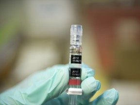 A nurse loads a syringe with a vaccine against hepatitis at a free immunization clinic.