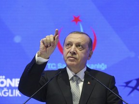 Turkey's President Recep Tayyip Erdogan speaks during a meeting in Istanbul, Friday, July 21, 2017. Erdogan has accused Germany's government of trying to scare off investments to Turkey with lies, after Germany toughened its stance toward Ankara following the arrest of human rights activists, including a German national.(Presidential Press Service/Pool photo via AP)