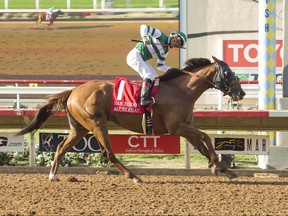 In a photo provided by Benoit Photo, Accelerate and jockey Victor Espinoza win the Grade II, $300,000 TVG San Diego Handicap horse race Saturday, July 22, 2017, at Del Mar Thoroughbred Club in Del Mar, Calif. (Benoit Photo via AP)