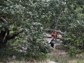 Tonto Search and Rescue volunteers search for missing swimmers near the Water Wheel Campground on Sunday morning, July 16, 2017, in the Tonto National Forest, Ariz., following Saturday's deadly flash-flooding at a normally tranquil swimming area in the national forest. The flooding came after a severe thunderstorm pounded down on a nearby remote area that had been burned by a recent wildfire, Water Wheel Fire and Medical District Fire Chief Ron Sattelmaier said. (Alexis Bechman/Payson Roundup via AP)