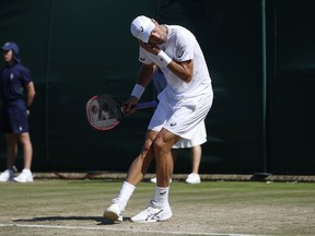 Steve Johnson of the United States gestures to get rid of flying ants during the Men's Singles Match against Moldova's Radu Albot on day three at the Wimbledon Tennis Championships in London Wednesday, July 5, 2017.