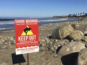 FILE - In this Sunday, April 30, 2017 photo, a sign warns beach goers at San Onofre State Beach after a woman was attacked by a shark in the area Saturday, along the Camp Pendleton Marine base in San Diego County, Calif. The surfer attacked by a shark off Southern California earlier this year recalls punching the predator and digging her fingers into its eye. Leeanne Ericson tells ABC's "Good Morning America" that she initially thought a curious seal was knocking the underside of her surfboard near San Diego last April. (Laylan Connelly/The Orange County Register via AP, File)