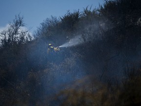 A U.S. Forest Service firefighter hoses down hotspots while battling a wildfire in the Cajon Pass near Devore, Calif., Wednesday July 5, 2017. (James Quigg/The Daily Press via AP)