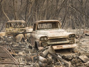 Vintage trucks burned by the Wall fire rest in a grove near Oroville, Calif., on Saturday, July 8, 2017. The forested area burning is about 10 miles south of Oroville, where spillways in the nation's tallest dam began crumbling from heavy rains this winter and led to temporary evacuation orders for 200,000 residents downstream. (AP Photo/Noah Berger)
