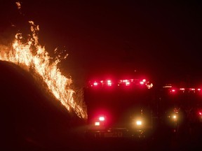 Flames from a backfire burn above fire trucks as CalFire crews battle the Ditwiler Fire near Mariposa, Calif., on Tuesday, July 18, 2017.  Record rain and snowfall in the mountains this winter was celebrated for bringing California's five-year drought to its knees, but it has turned into a challenge for firefighters battling flames feeding on dense vegetation, officials said.  (AP Photo/Noah Berger)