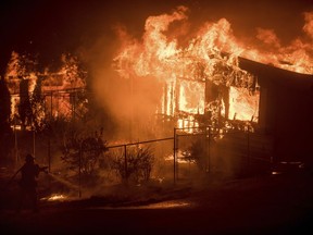 A firefighter sprays water as flames from a wildfire consume a residence near Oroville, Calif., on Sunday, July 9, 2017. Evening winds drove the fire through several neighborhoods leveling homes in its path. (AP Photo/Noah Berger)