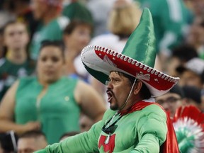 A fan dressed as a jalapeno cheers for Mexico, at the team's CONCACAF Gold Cup soccer match against Jamaica on Thursday, July 13, 2017, in Denver. (AP Photo/David Zalubowski)