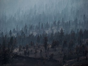 Smoke rises from trees burned by wildfire on a mountain near Ashcroft, B.C., on Monday, July 10, 2017.