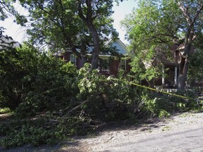 Yellow tape warns drivers of a large tree branch felled by an earthquake that is partially blocking a road in Helena, Montana, on Thursday, July 6, 2017. The 5.8-magnitude quake and numerous aftershocks were centered about 30 miles away in Lincoln, Montana, and could be felt as far away as Washington state. (AP Photo/Matt Volz)