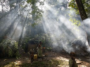 Mbuti pygmy hunting camp in the Okapi Wildlife Reserve outside the town of Epulu, Congo.