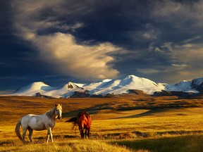 Mongolia