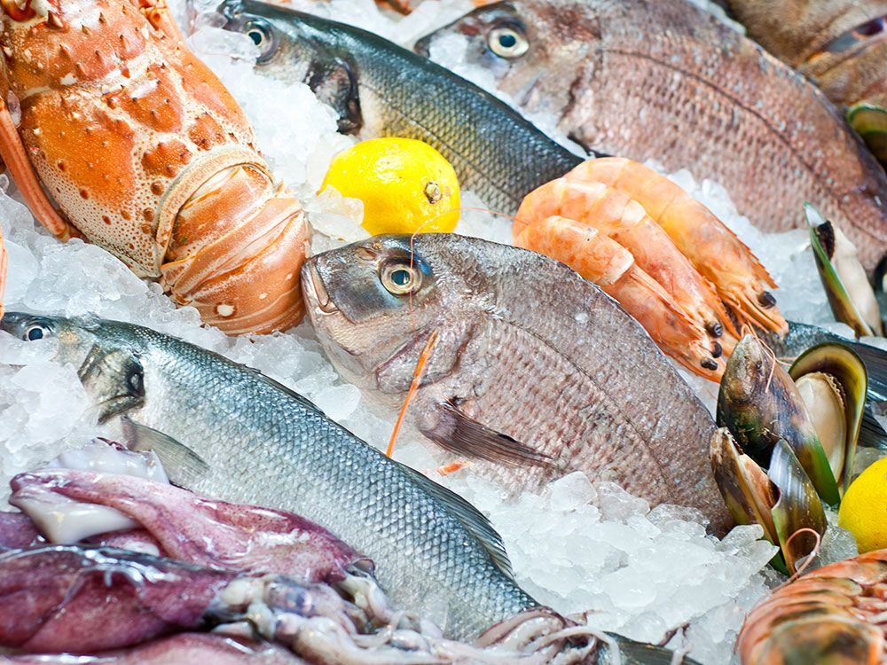 Nobody seems to care about fish welfare — here's why we should, News, Eco-Business