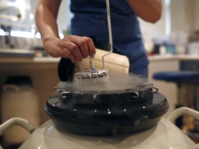 An employee arranges a test tube in a container used to freeze human eggs in a laboratory for In Vitro Fertilisation (IVF).