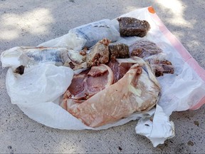 This photo provided by Austin Adair taken Saturday, July 15, 2017, shows a 15-pound bag of frozen pork that fell from the sky onto the home of Travis Adair in Fort Lauderdale, Fla. The home is near three airports, so Adair thinks it fell from a plane. (Austin Adair via AP)