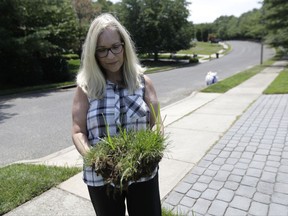 In this Wednesday, July 5, 2017, photo, Judy Rutan holds a section of grass that was dug up by surveyors on her front yard, at her home in Eatontown, N.J. Jared Kushner's family real estate company, which is trying to expand a mall and build an apartment complex in Eatontown, is being sued. Some residents are upset because the complex encroaches onto their backyards and it will bring unwanted traffic and noise to the town. The plaintiffs claim Kushner Cos. is getting special treatment as the project has sped through the approval process. (AP Photo/Julio Cortez)
