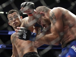 Anthony Pettis, left, hits Jim Miller in a lightweight mixed martial arts bout at UFC 213, Saturday, July 8, 2017, in Las Vegas. (AP Photo/John Locher)