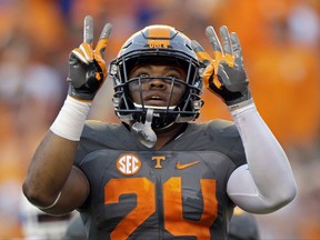 FILE - In this Sept. 24, 2016, file photo, Tennessee defensive back Todd Kelly Jr. (24) gestures after an interception during the second half of an NCAA college football game against Florida, in Knoxville, Tenn. Tennessee doesn't mind adopting an underdog mentality a year after the Volunteers failed to meet preseason expectations. "Right now we're in the weeds," senior safety Todd Kelly Jr. said. "No one's really seeing us, almost like a snake in the grass. Our goal is to end up biting somebody at the end of the day and making them pay." (AP Photo/Wade Payne, File)