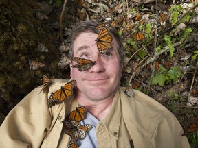 This image released by PBS shows National Geographic Joel Sartore covered with Monarch butterflies in the Sierra Chincua monarch sanctuary in Mexico. Sartore is documenting thousands of rare animal species. His quest is detailed in the PBS series "Rare: Creatures of the Photo Ark," a three-part series debuting Tuesday at 9 p.m. EDT.  (Joel Sartore/PBS via AP)