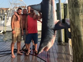 This Saturday, July 22, 2017, photo provided by Jenny Lee Sportfishing, whose crew reeled in a 926-pound Mako shark, from left, Mark Miccio, Mark Miccio, Matt Miccio and Steve Miccio pose for a photo with the shark at Hoffmann Marina in Brielle, N.J. Environmental officials say it's the biggest shark catch in the state's history. The boat's crew was fishing about 100 miles off the state coast in an area known as Hudson Canyon on Saturday. The shark was weighed and displayed in Brielle later that day. The New Jersey Division Fish and Wildlife says the previous record weight for a shark caught was an 880-pound tiger shark caught off Cape May in 1988. (Jenny Lee Sportfishing via AP)