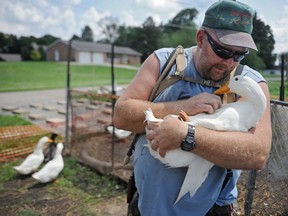 FILE – In this July 10, 2014, file photo, Iraq War veteran Darin Welker holds one of his ducks at his home in West Lafayette, Ohio. West Lafayette Village Council members voted Tuesday, July 18, 2017, to grant a variance allowing Welker to keep pet ducks he says help relieve his post-traumatic stress disorder and depression, the Coshocton Tribune reported. (Trevor Jones /The Tribune via AP, File)